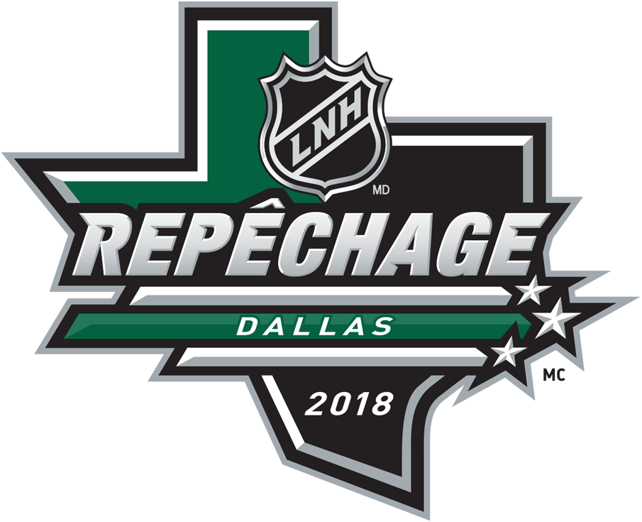 NHL Draft 2018 Alt. Language Logo DIY iron on transfer (heat transfer)